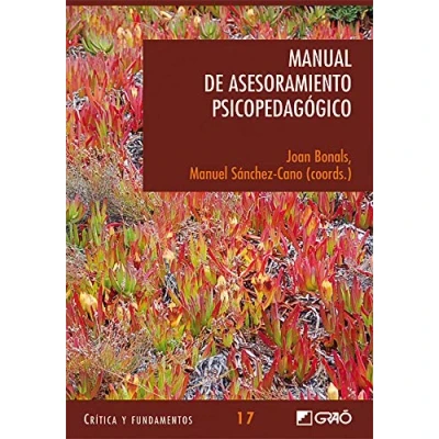 Imagen de Manual de Asesoramiento Psicopedagógico: 017 (Critica Y Fundamentos)