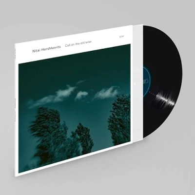 Imagen de Call On The Old Wise Vinilo Nitai Hershkovits