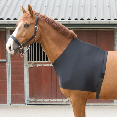 Imagen de Harry&#039;s Horse Protector de pecho lycra S Negro