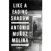 Imagen de Like A Fading Shadow