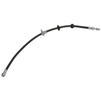 Imagen de Tubo flexible de frenos DELPHI LH8089