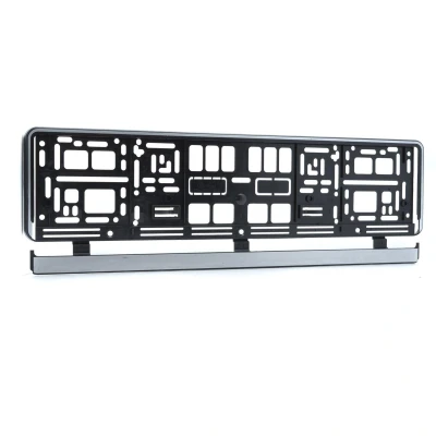 Imagen de EINPARTS EPF02 Portamatrículas plateado