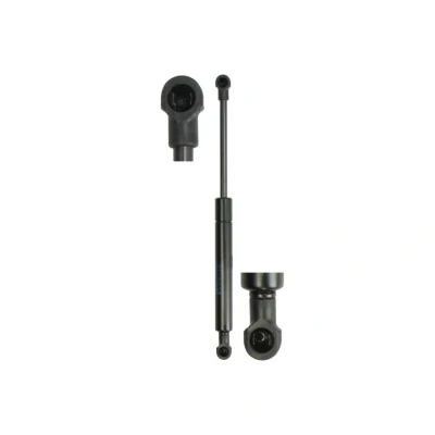 Imagen de STABILUS 1041VO Muelle Neumático Capó de Motor 640 // LIFT O MAT BMW: X5
