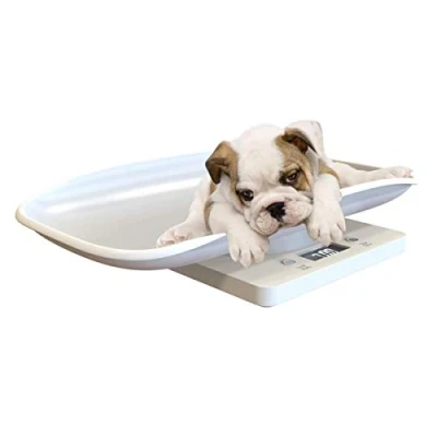 Imagen de Petyoung báscula digital multifunción para mascotas medir el peso de perros y gatos con precisión hasta 10 kg, pantalla LCD, pesaje cómoda plataforma
