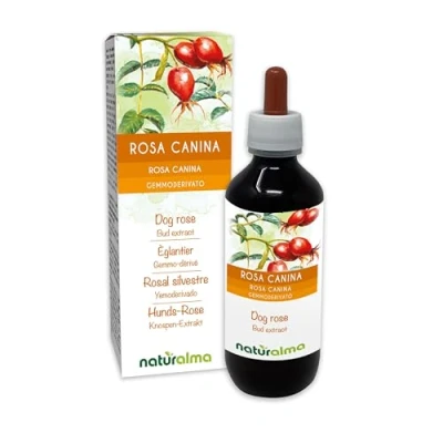 Imagen de Rosal silvestre (Rosa canina) Yemoderivato sin alcohol de yemas frescas Extracto líquido gotas 100 ml Complemento alimenticio Vegano