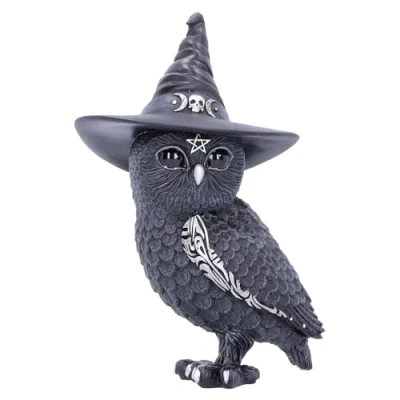 Imagen de Nemesis Now Cult Cuties Figura de Owlocen 13,5 cm, Resina, Negra, pequeña búho Owlocen, Adorable hechizante, Brujo, fundida en la Mejor Pintada