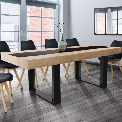 Imagen de IDMarket Phoenix La Mesita de Comedor Rectangular para 10 Personas, Madera y Negro, 200 cm, Color Negro