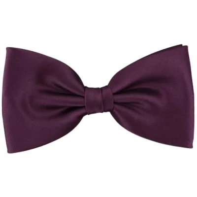 Imagen de TigerTie Pajarita en burdeosvioleta monocromo + caja