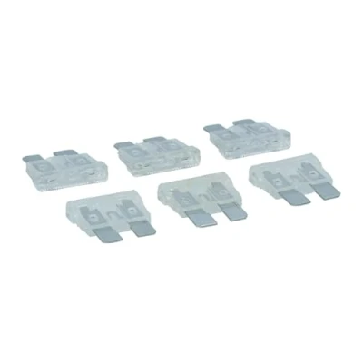 Imagen de CARPOINT 1623925 Fusible 25A transparente