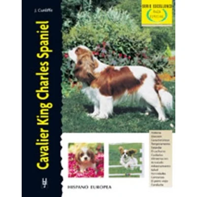 Imagen de Cavalier King Charles Spaniel (Excellence Raza especial)