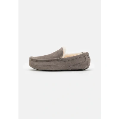 Imagen de UGG Ascot Pantuflas, Hombre, Talla: 44, Grey Zapatos
