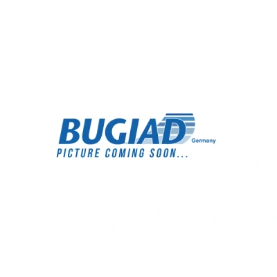 Imagen de BUGIAD BSP25523 Mangueta Eje delantero, izquierda