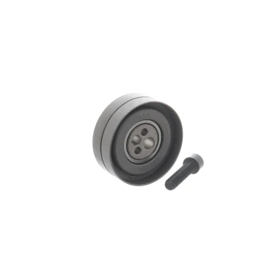 Imagen de SKF VKM 14101 Polea tensora, correa dentada con material de fijación FORD: ESCORT 4