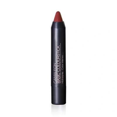Imagen de Camaleon Cosmetics Basic Colourstick Terra Pintalabios Mate Larga duración Con Aloe Vera y Rosa mosqueta Hidratante Color Vegano 1 Unidad 4gr