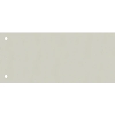 Imagen de Brunnen 106604080 Separadores (10,5 x 24 cm horizontal, cartón, perforados, 100 separadores), color gris