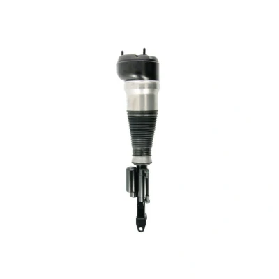 Imagen de BILSTEIN B4 OE Replacement (Air) 44 240004 Amortiguador telescópico neumático Eje delantero, izquierda MERCEDES BENZ: Clase S Berlina