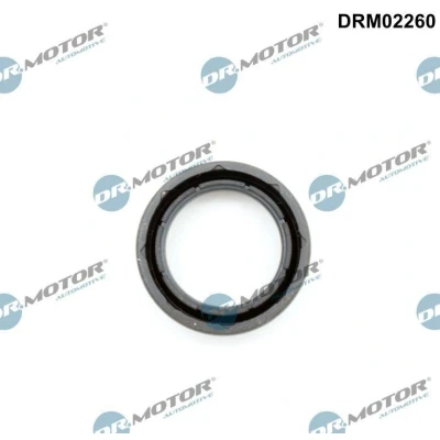 Imagen de DR.MOTOR AUTOMOTIVE DRM02260 Junta anular, cavidad bujía