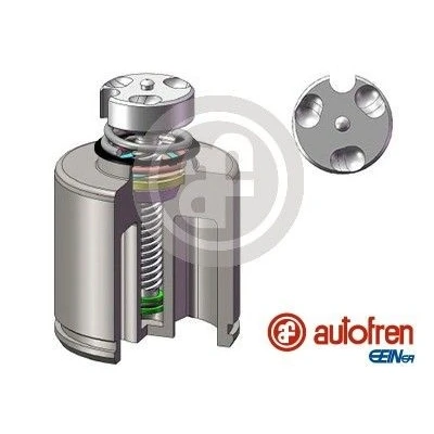 Imagen de AUTOFREN SEINSA D025627LK Émbolo, pinza del freno 60 Eje trasero Brembo