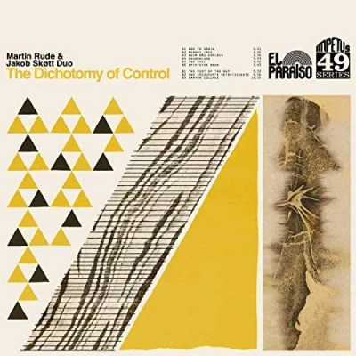 Imagen de The Dichotomy Of Control Vinilo