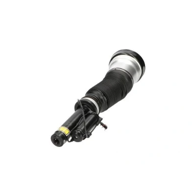 Imagen de Amortiguador telescópico neumático KAVO PARTS SAS 10013