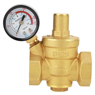 Imagen de VáLvula Reductora de PresióN Dn25 LatóN Regulador ReduccióN La Agua Ajustable Reductor + Medidor
