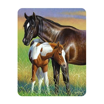 Imagen de Deluxebase 3D LiveLife Imán Yegua y Potro de Nevera lenticular con diseño Caballos. Adorno magnético para niños Adultos ilustración la reconocida Artista Cynthie Fisher