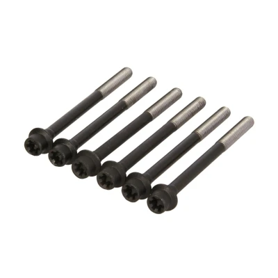 Imagen de REINZ 14 32376 01 Juego de Tornillos Culata Polydrive FIAT: 500 Hatchback, 500L, ALFA ROMEO: MiTo