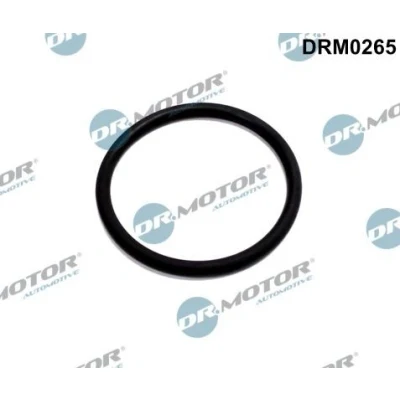 Imagen de DR.MOTOR AUTOMOTIVE DRM0265 Juego de juntas, sistema EGR