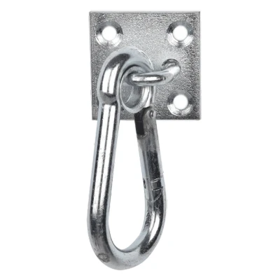 Imagen de Waldhausen Carabiner with wall plate