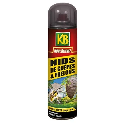 Imagen de KB Home Defense NIDS DE GUEPES ET FRELONS Aerosol 500ML HDNID
