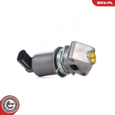Imagen de Válvula EGR ESEN SKV 14SKV293