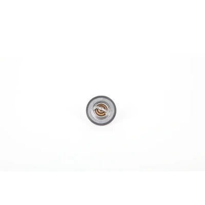 Imagen de Continental 28.0200 4010.2 Termostato, refrigerante 88 50,0 con junta RENAULT: MEGANE 2, SCENIC LAGUNA 1, DACIA: Lodgy, Duster SUV, Sandero I