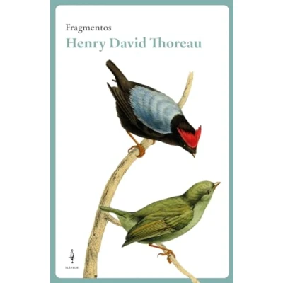 Imagen de Fragmentos Henry David Thoreau (FRAGMENTOS FLANEUR)