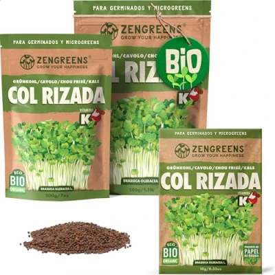 Imagen de ZenGreens® Semillas de berza ecológico Elija entre 10g, 200g y 500g brotes germinación más del 97% Microgreens