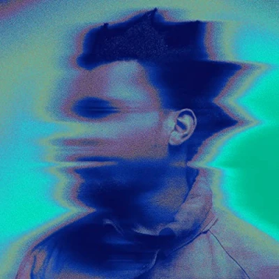 Imagen de Melt My Eyez See Your Future [Vinilo]