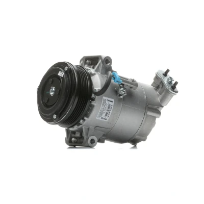 Imagen de DELPHI TSP0155449 compresor de Aire Acondicionado 6CVC PAG 46 con aceite OPEL: Meriva A, Astra H Berlina, Zafira B norauto, oscaro,