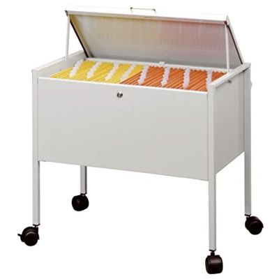 Imagen de Durable 309810 Carrito para carpetas colgantes ECONOMY top 80 A4, gris
