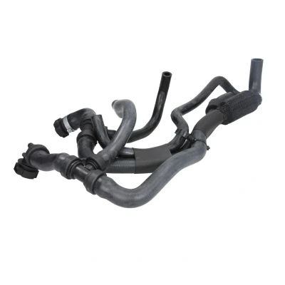 Imagen de SASIC 3404200 Manguitos de Radiador RENAULT: LAGUNA 3, 3 Grandtour
