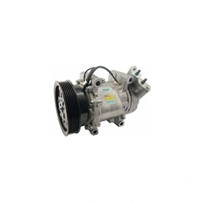 Imagen de DELPHI TSP0159277 compresor de Aire Acondicionado Sanden SD6V12 PAG 46 con aceite RENAULT: CLIO 2, MEGANE 1 Classic, Scénic
