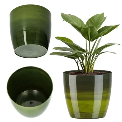 Imagen de KADAX Macetero, Maceta Redonda de plástico, para Cactus, helechos, Brillante balcón, apartamento y terraza (12 cm, Verde)