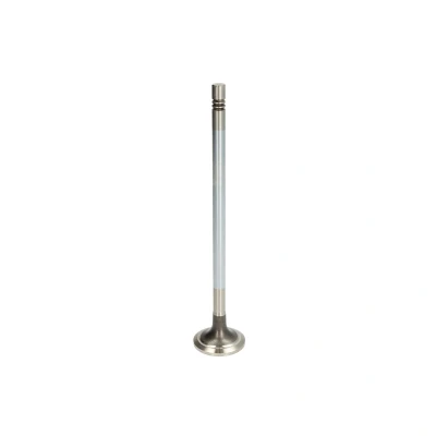 Imagen de Válvula de escape MAHLE ORIGINAL 213 VA 32039 000