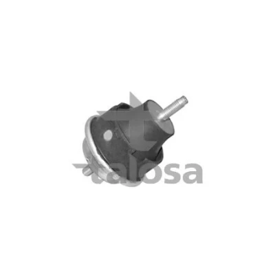 Imagen de Soporte del motor DYS 71 22504