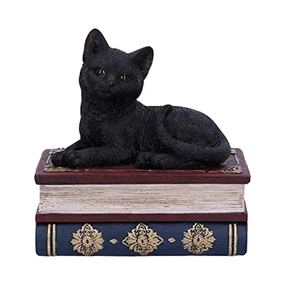 Imagen de Nemesis Now Salems Spells Witches Caja Familiar de Gato Negro y Libro hechizos, Resina, 11.7cm