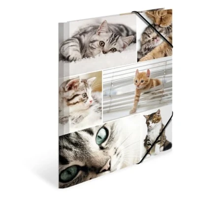 Imagen de HERMA 19212 carpeta de dibujo Animales con motivo Gatos, A4, cartón resistente, impresión interior, 1 palmo