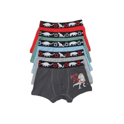Imagen de Pack 5 calzoncillos boxer para niño