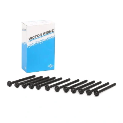 Imagen de REINZ 14 32132 02 Juego de Tornillos Culata Torx exterior OPEL: Corsa D Hatchback, C Astra H Hatchback norauto, oscaro, mister