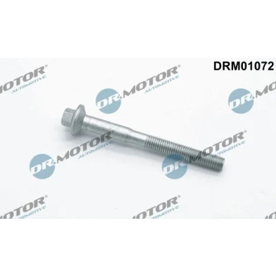 Imagen de DR.MOTOR AUTOMOTIVE DRM01072 Tornillo, soporte inyector PEUGEOT: Boxer Furgón, CITROËN: Jumper II Furgón