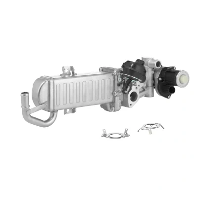 Imagen de WAHLER 710861D/1 Módulo AGR eléctrico con radiator EGR, juntas VOLKSWAGEN: GOLF 6, Polo V Hatchback, Passat B7 Sedán, AUDI: A3 Sportback
