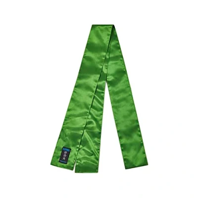 Imagen de Playwell Martial Arts Grading Satin Kung Fu Sash Verde