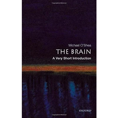 Imagen de The Brain: A Very Short Introduction